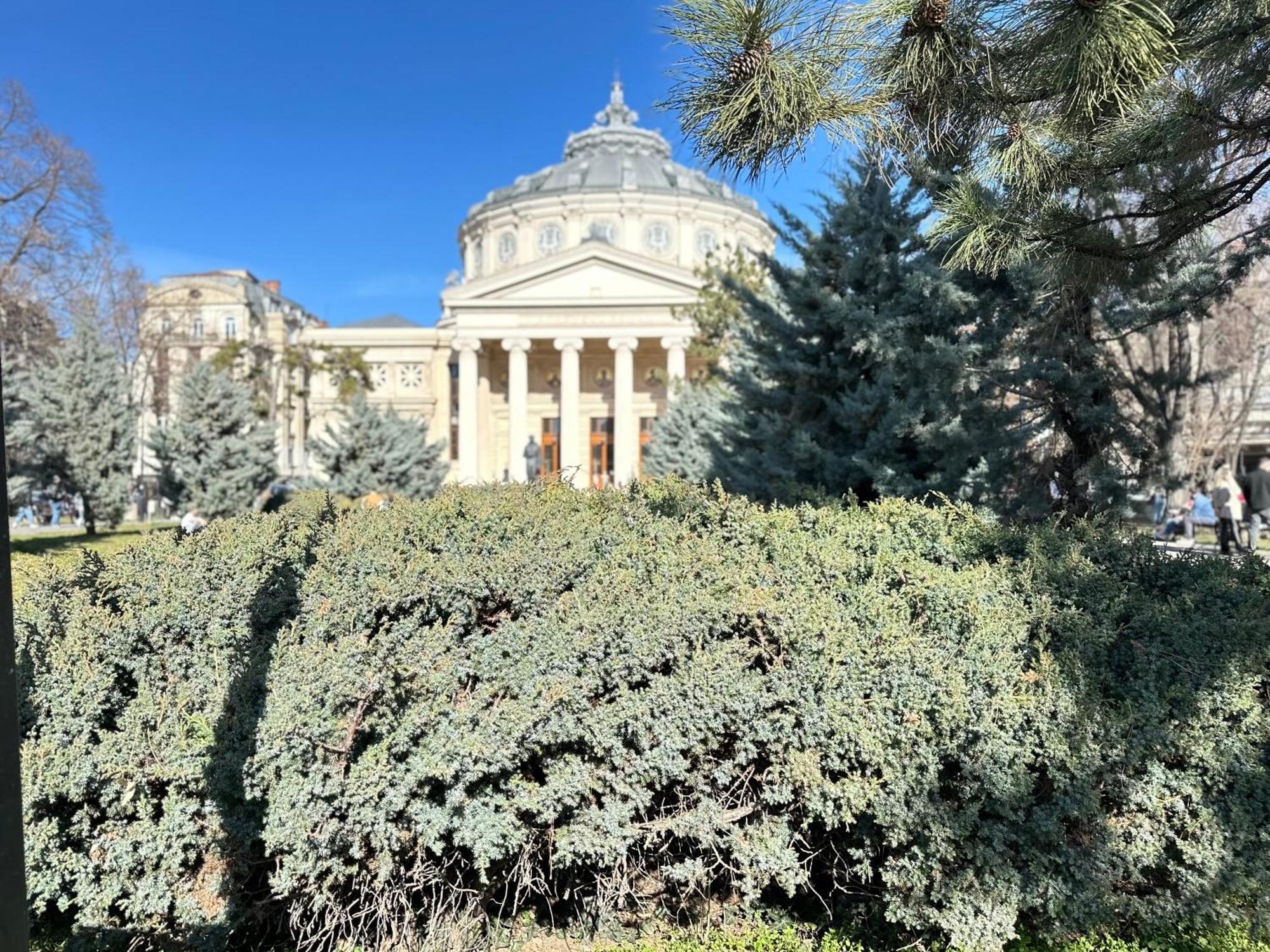 2Rooms Apartment Calea Victoriei - Atheneum Bucureşti Exterior foto